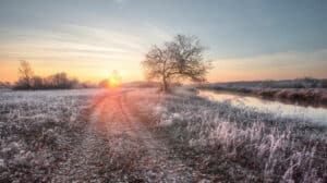 A cold, frosty winters day in the country side, with the sun setting in the background. 