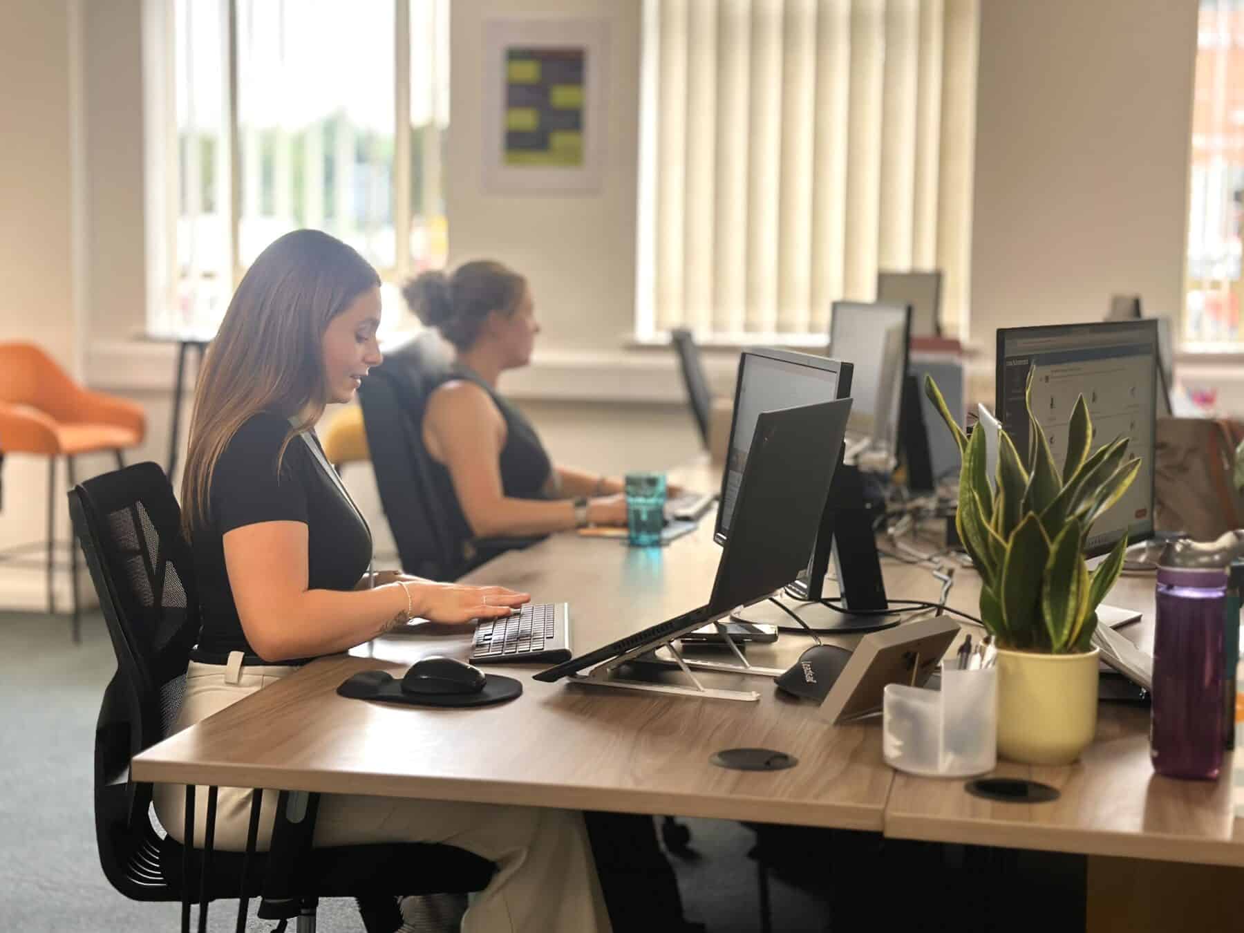 Administration assistant working at desk in office with a small plant on their desk